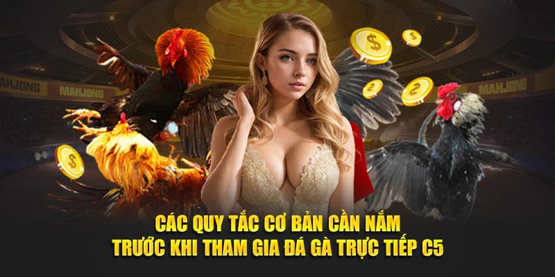 Các quy tắc cơ bản cần nắm trước khi tham gia đá gà trực tiếp C5