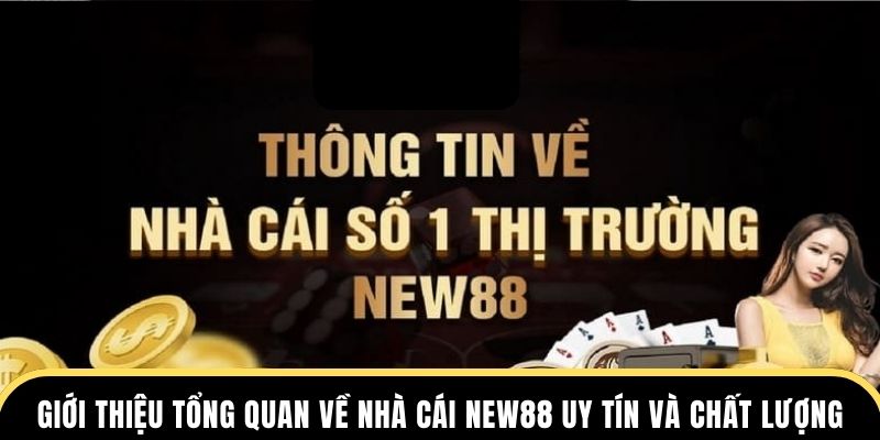 Giới thiệu tổng quan về nhà cái New88 uy tín và chất lượng