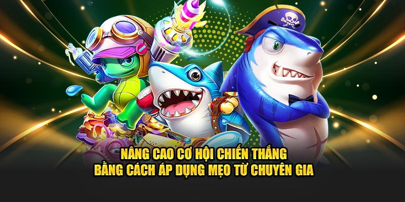 Cơ hội thành công bằng cách áp dụng mẹo được chia sẻ từ chuyên gia