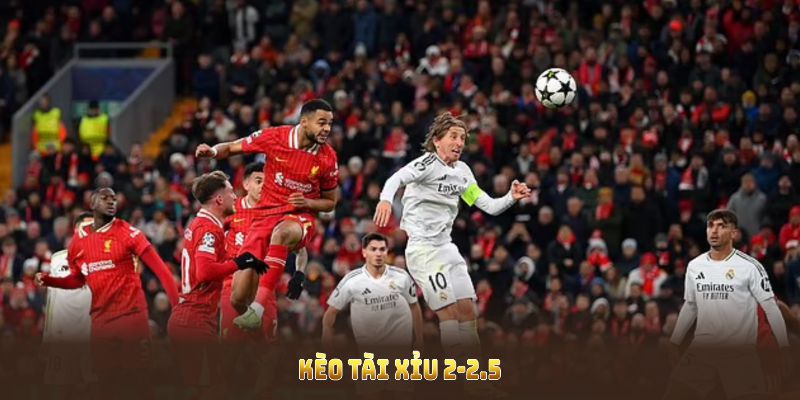 Kèo Tài Xỉu 2-2.5 Là Gì? Khám Phá Bí Quyết Đặt Kèo Hiệu Quả